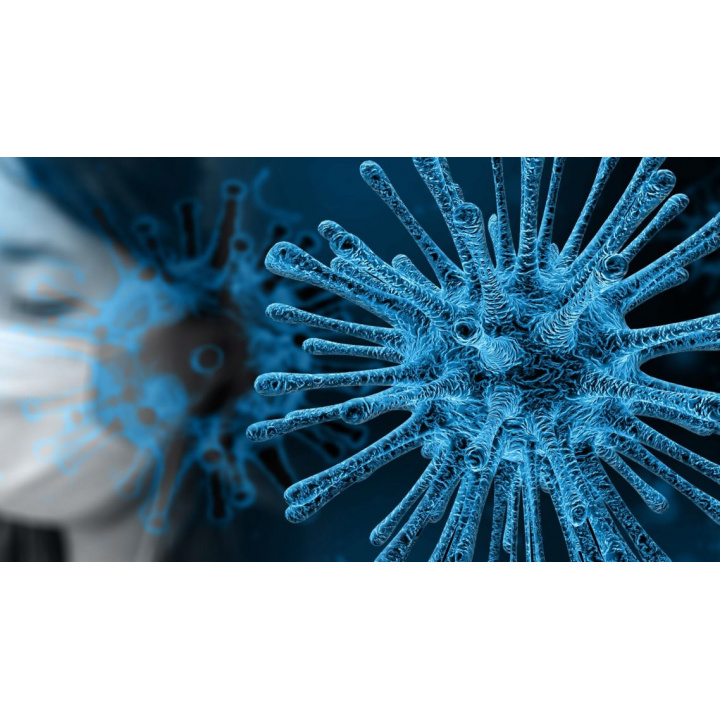 A típusú vírusos hepatitis – Ajánlás megelőző intézkedések végrehajtására a Lévai járás területén